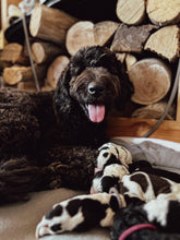 Load image into Gallery viewer, Saint Berdoodle Payment