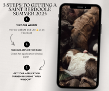 Load image into Gallery viewer, Saint Berdoodle Payment