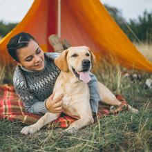 Load image into Gallery viewer, Glamping Dog Hut - Red Rock